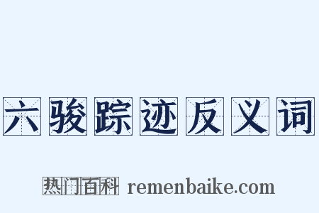 六骏踪迹反义词是什么意思的图片